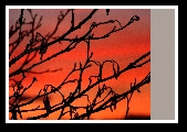 Dunmanway Photo Class